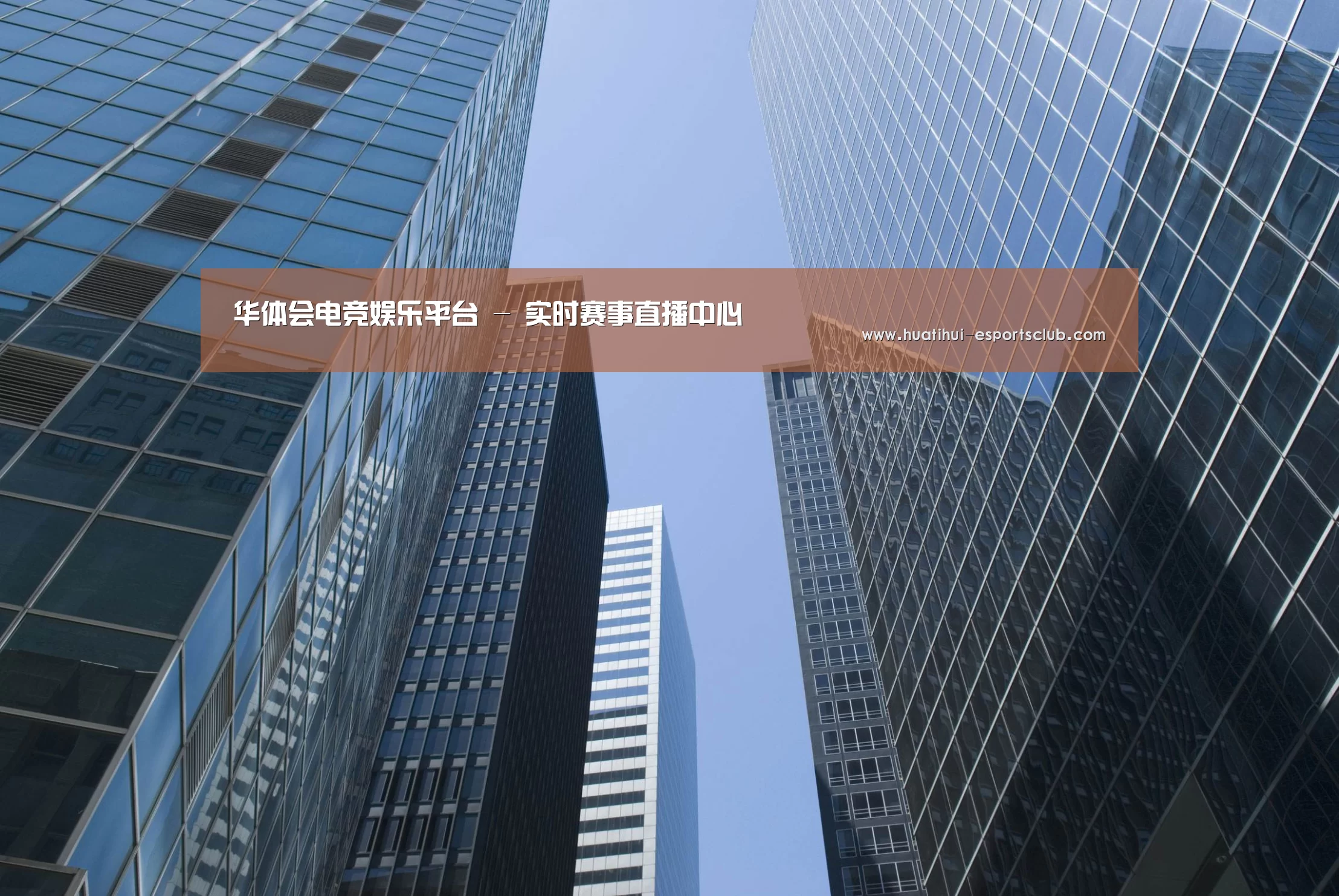 华体会电竞娱乐平台公司简介 
