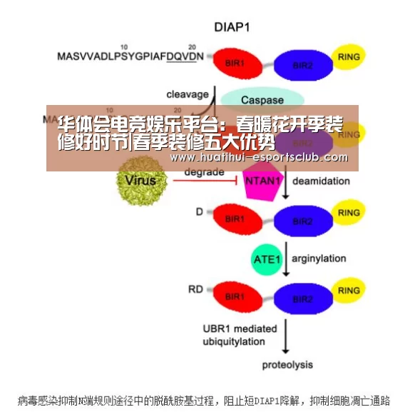 华体会电竞娱乐平台:春暖花开季装修好时节|春季装修五大优势(图3) 华体会电竞娱乐平台