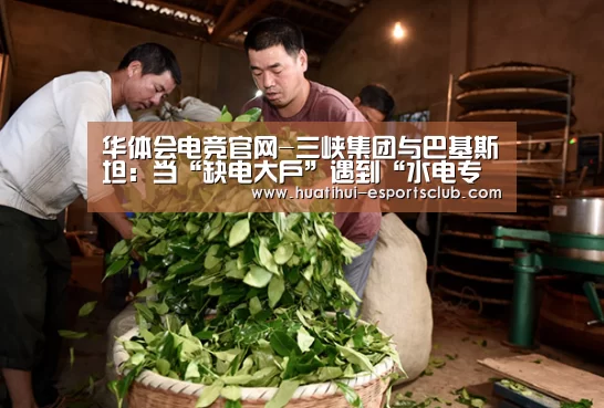 华体会电竞官网