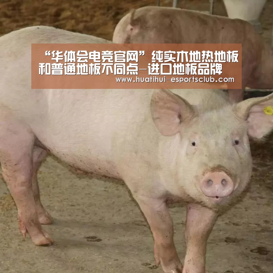 华体会电竞官网