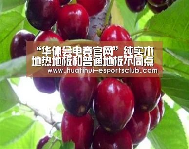 华体会电竞竞猜平台